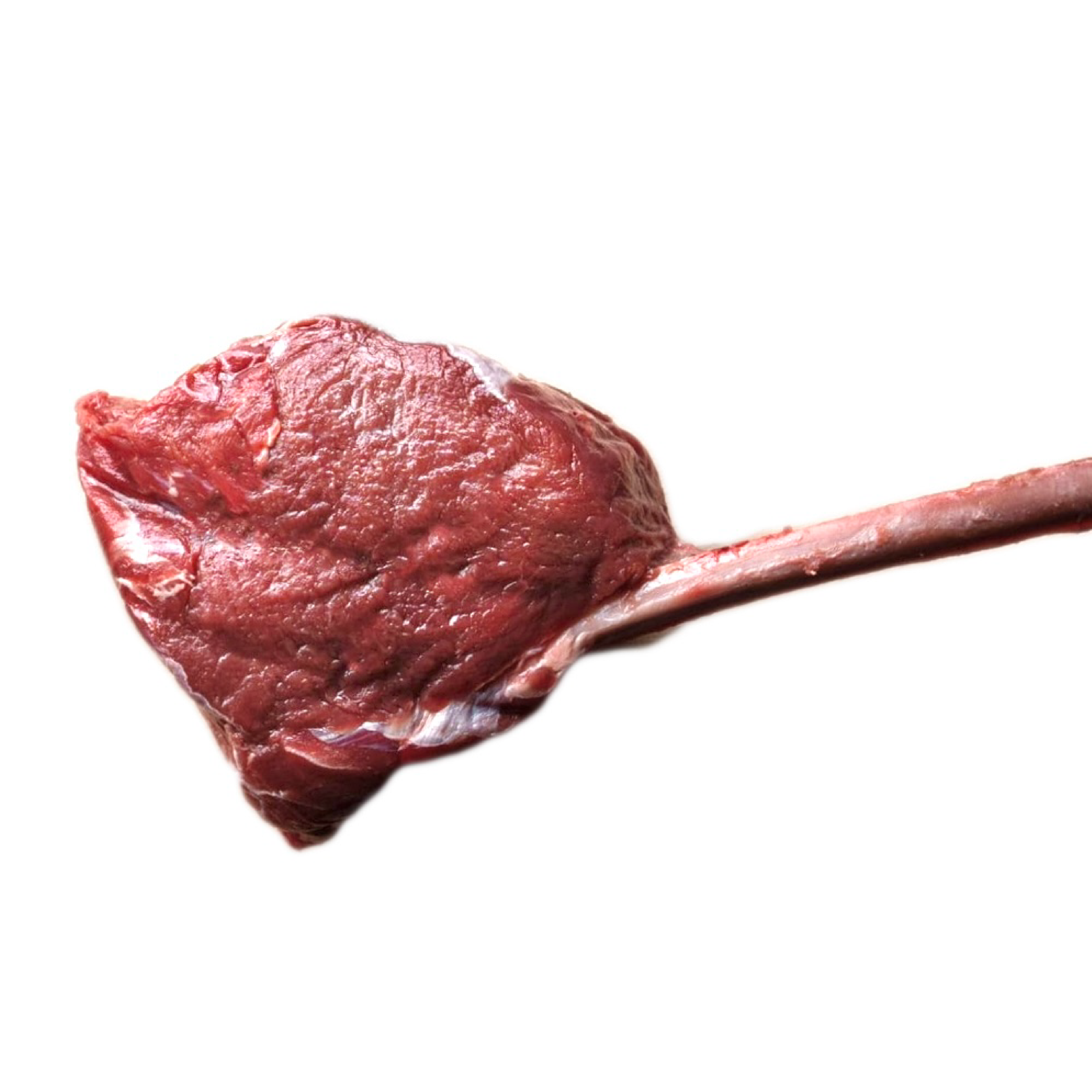 First Light Elk - Tomahawk Rack 1 Rib
